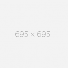 695x695v2